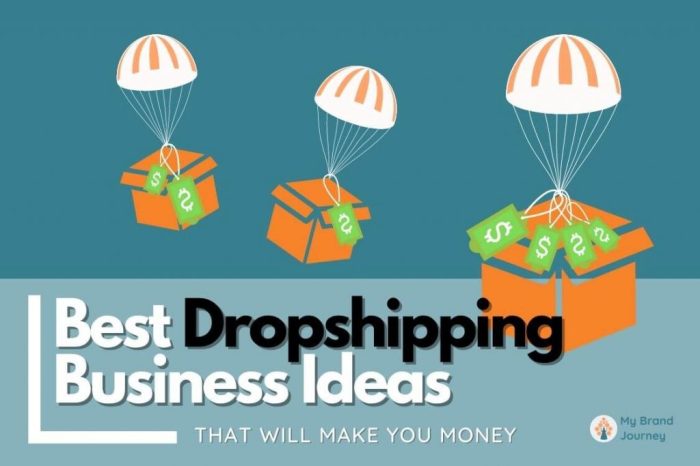 Dropshipping entrepreneur instagr